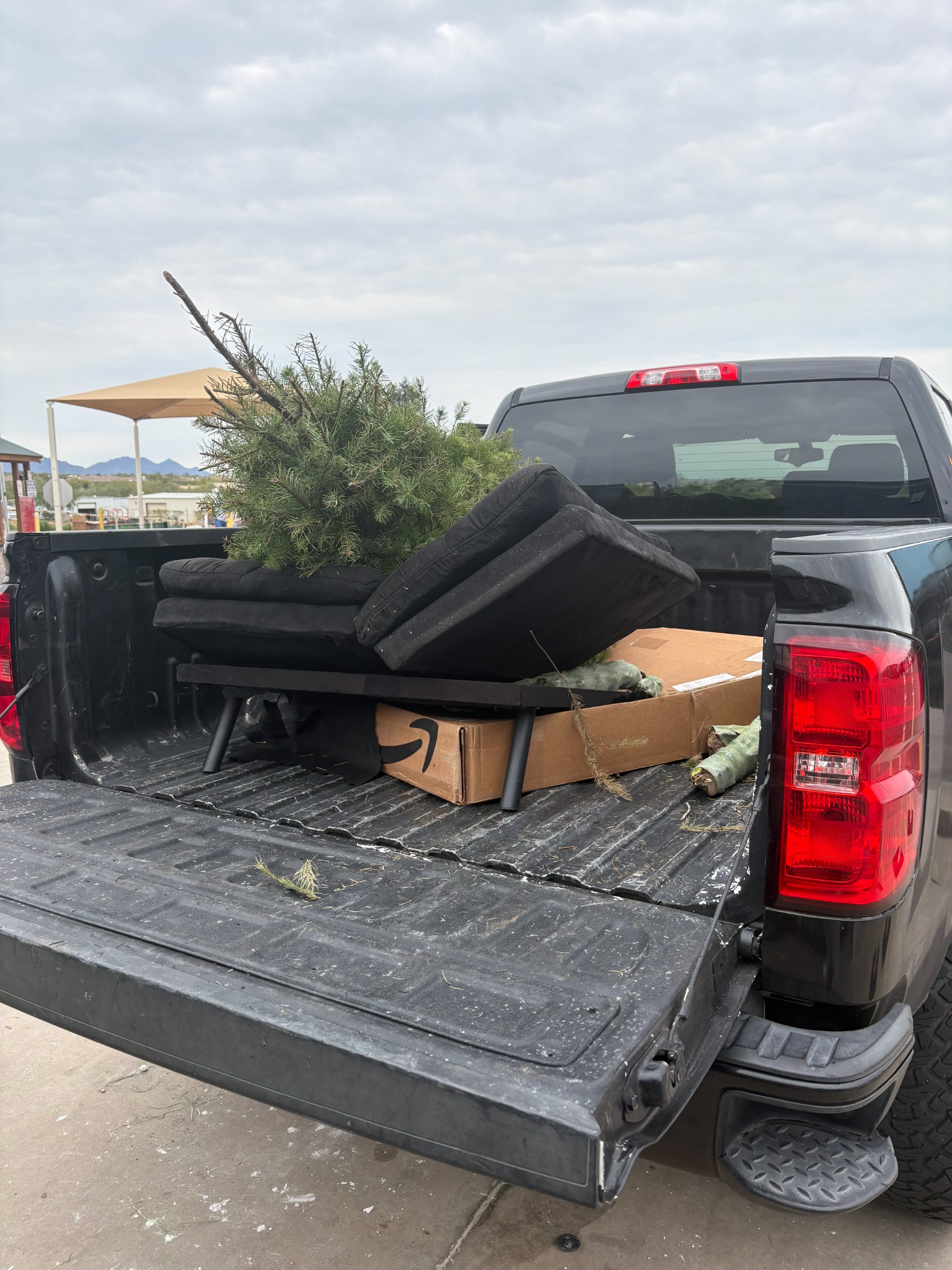 Yard cleanup debris hauling - truck loaded with tree and furniture